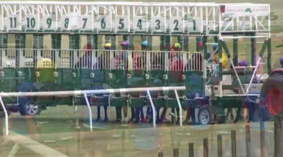 View video › View video ›