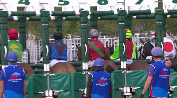 View video › View video ›