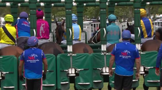 View video › View video ›