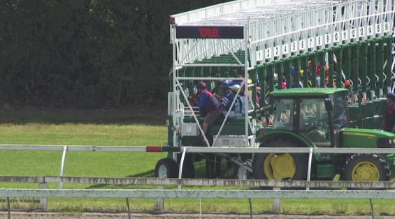 View video › View video ›