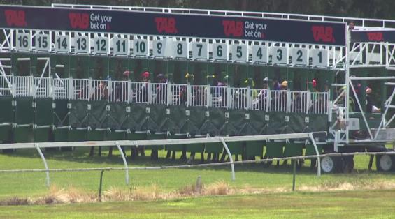 View video › View video ›