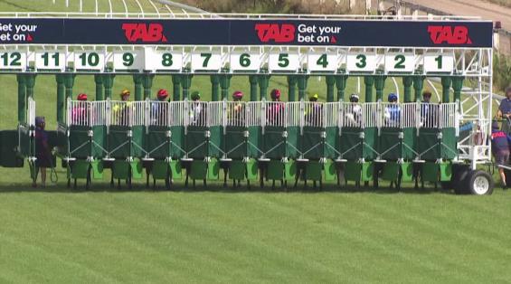 View video › View video ›