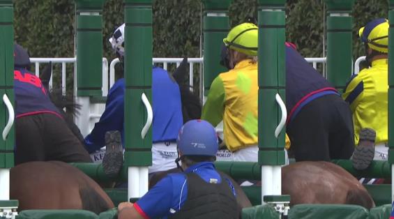 View video › View video ›