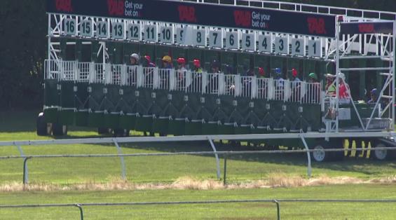 View video › View video ›