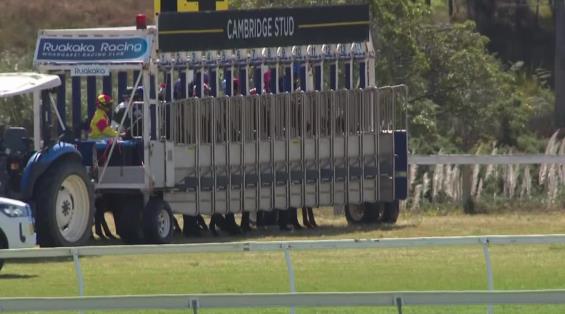 View video › View video ›