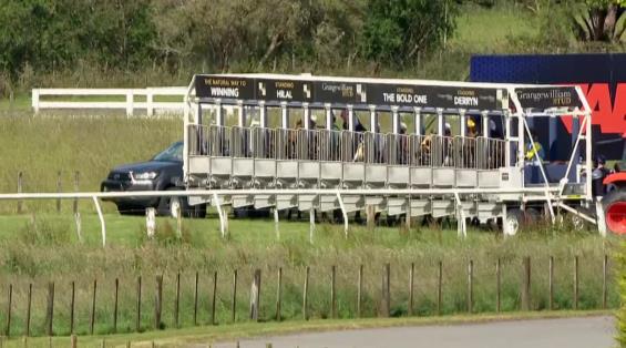 View video › View video ›