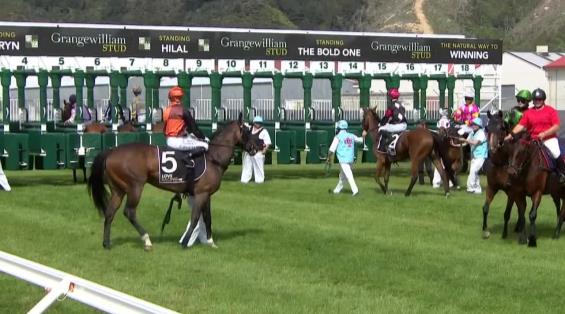 View video › View video ›