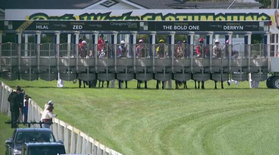 View video › View video ›