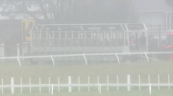 View video › View video ›