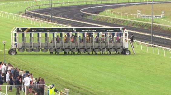 View video › View video ›