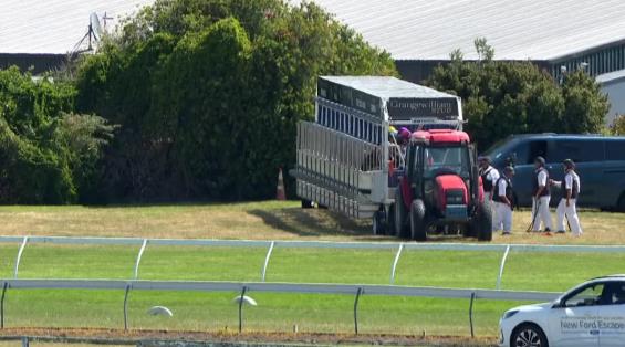 View video › View video ›