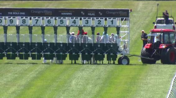 View video › View video ›