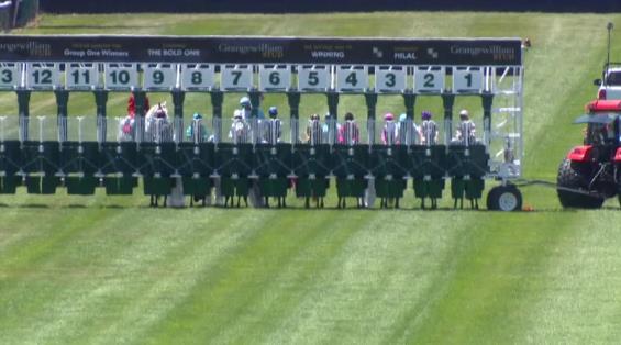 View video › View video ›