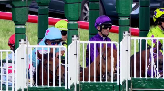 View video › View video ›