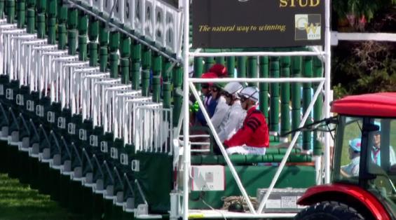 View video › View video ›