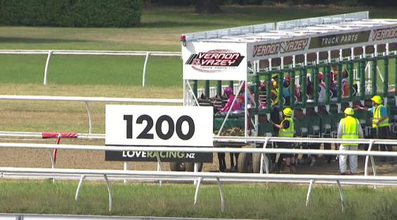 View video › View video ›