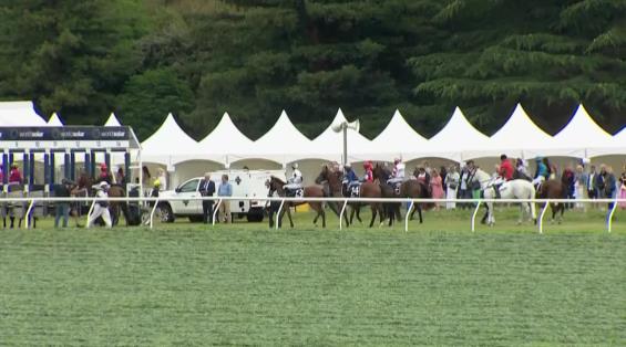 View video › View video ›