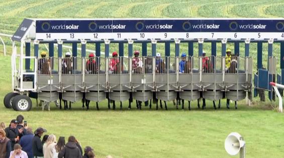 View video › View video ›