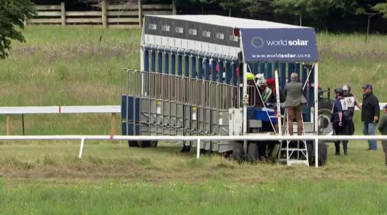 View video › View video ›