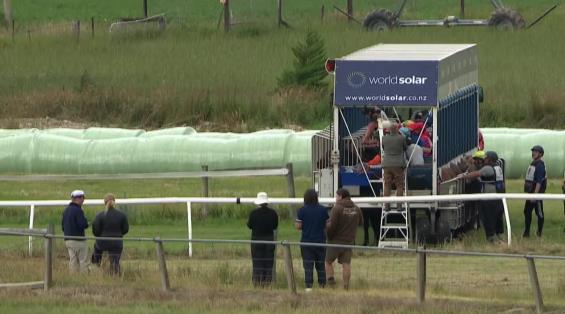 View video › View video ›