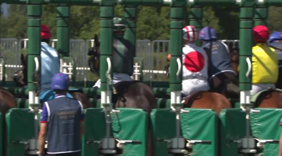 View video › View video ›