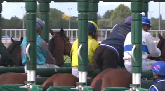 View video › View video ›