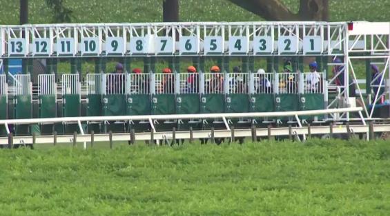 View video › View video ›