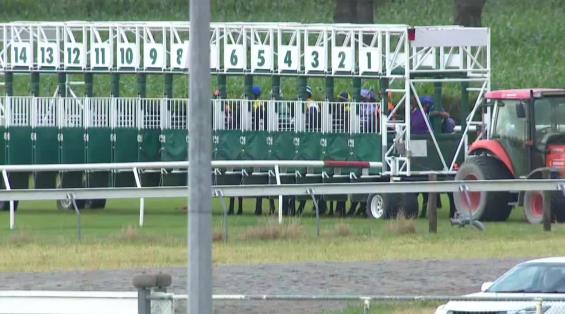 View video › View video ›