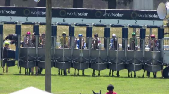 View video › View video ›