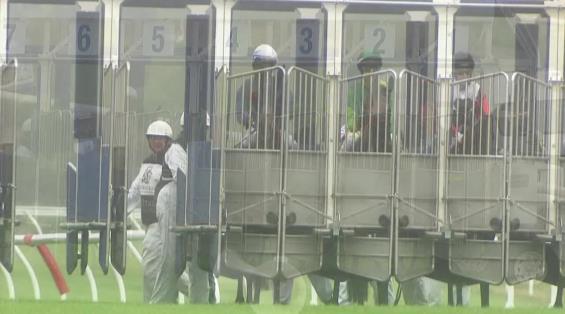 View video › View video ›