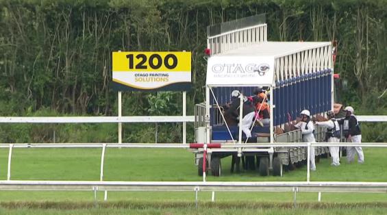 View video › View video ›