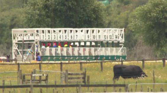 View video › View video ›