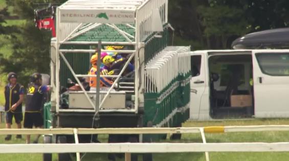 View video › View video ›