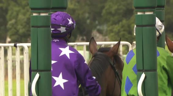 View video › View video ›