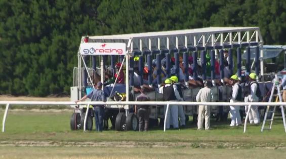 View video › View video ›