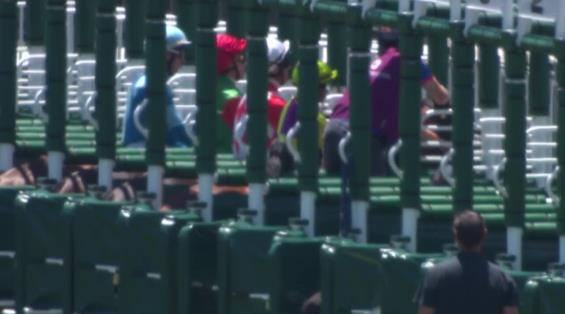 View video › View video ›