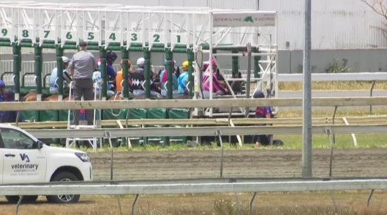 View video › View video ›