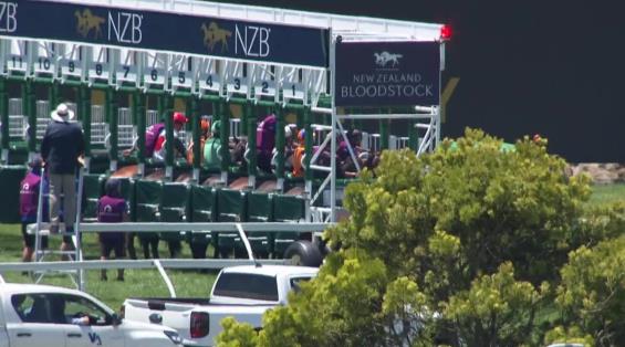 View video › View video ›