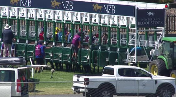 View video › View video ›