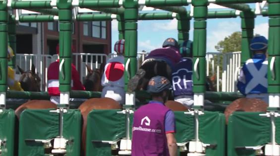 View video › View video ›