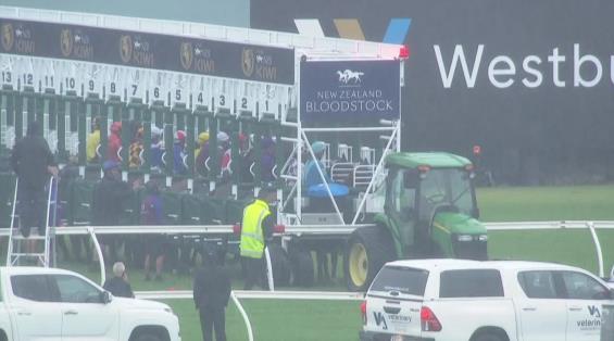 View video › View video ›