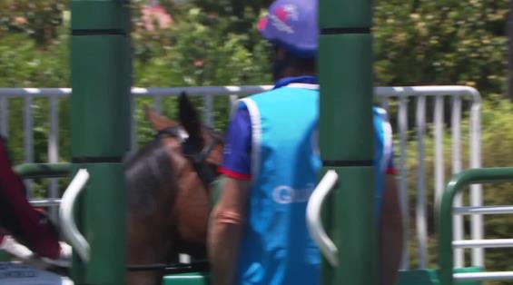 View video › View video ›