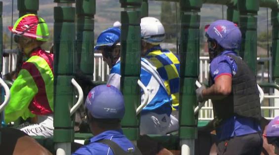 View video › View video ›