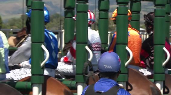 View video › View video ›