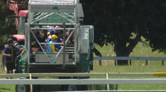 View video › View video ›