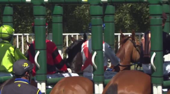 View video › View video ›