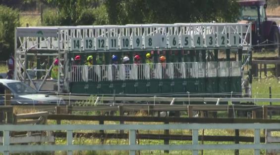 View video › View video ›