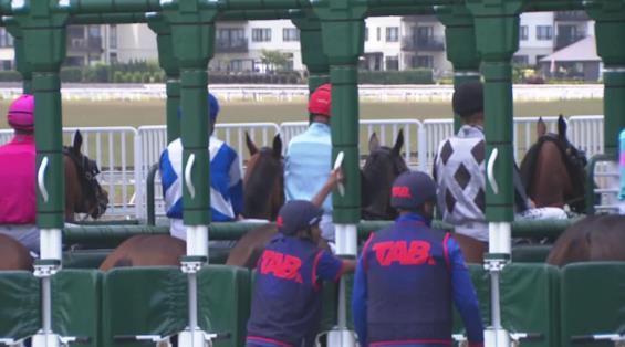 View video › View video ›