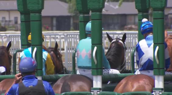 View video › View video ›