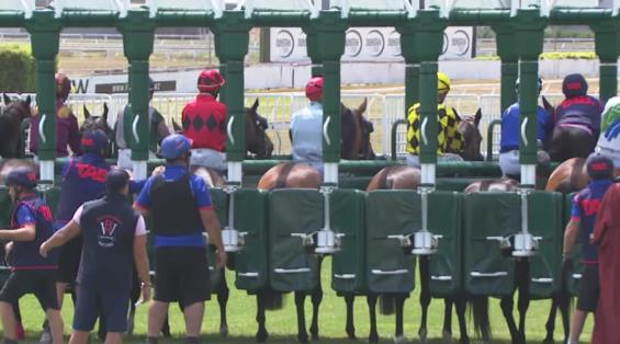 View video › View video ›